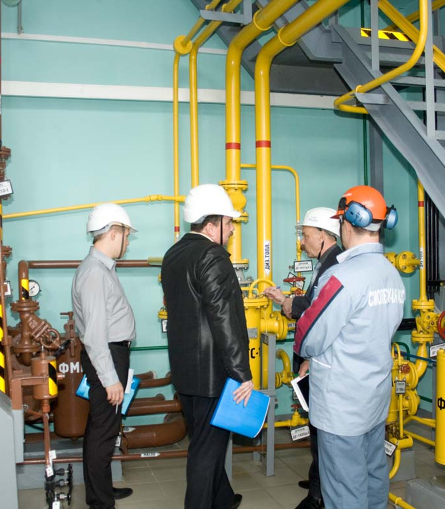 Criterios aplicables para el desarrollo de inspecciones extraordinarias derivadas de la declaratoria de emergencia sanitaria por causa de fuerza mayor.