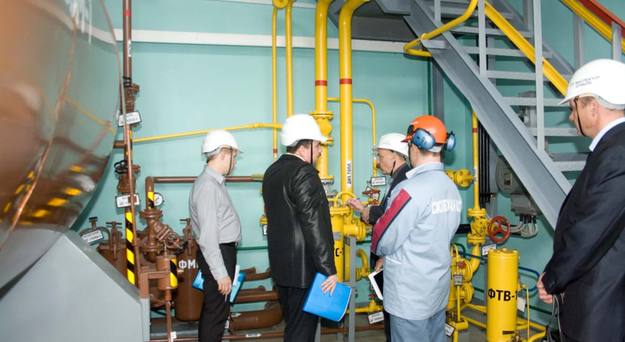 Criterios aplicables para el desarrollo de inspecciones extraordinarias derivadas de la declaratoria de emergencia sanitaria por causa de fuerza mayor.